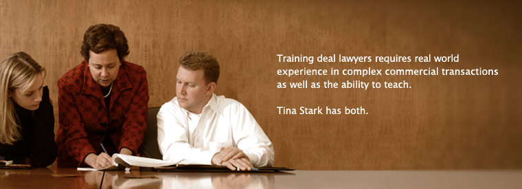 Training deal lawyers requires real world experience in complex commercial transactions as well as the ability to teach. Tina Stark has both.